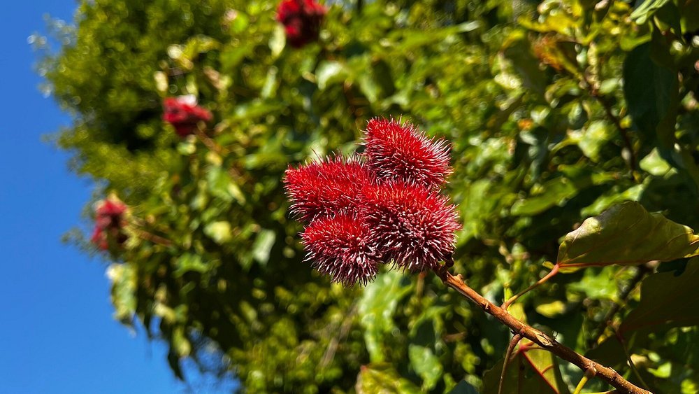 Zanzibar: Private Tour to Jozani Forest and Spice Farm
