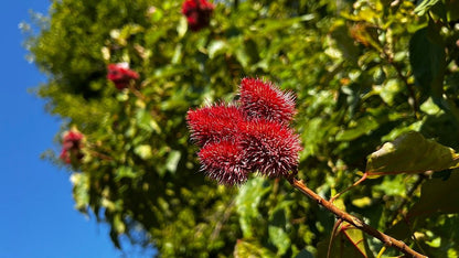 Zanzibar: Private Tour to Jozani Forest and Spice Farm