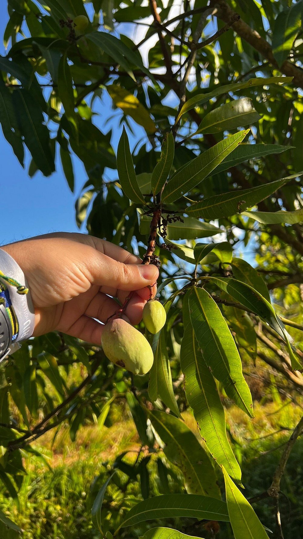 Zanzibar: Private Tour to Jozani Forest and Spice Farm