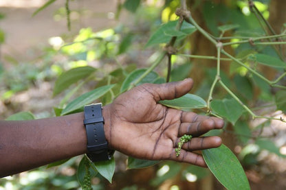 Zanzibar: Private Tour to Jozani Forest and Spice Farm