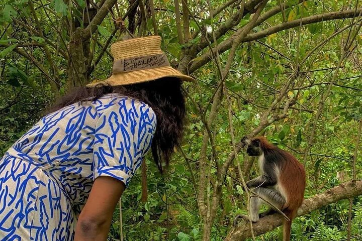 Zanzibar: Private Tour to Jozani Forest and Spice Farm