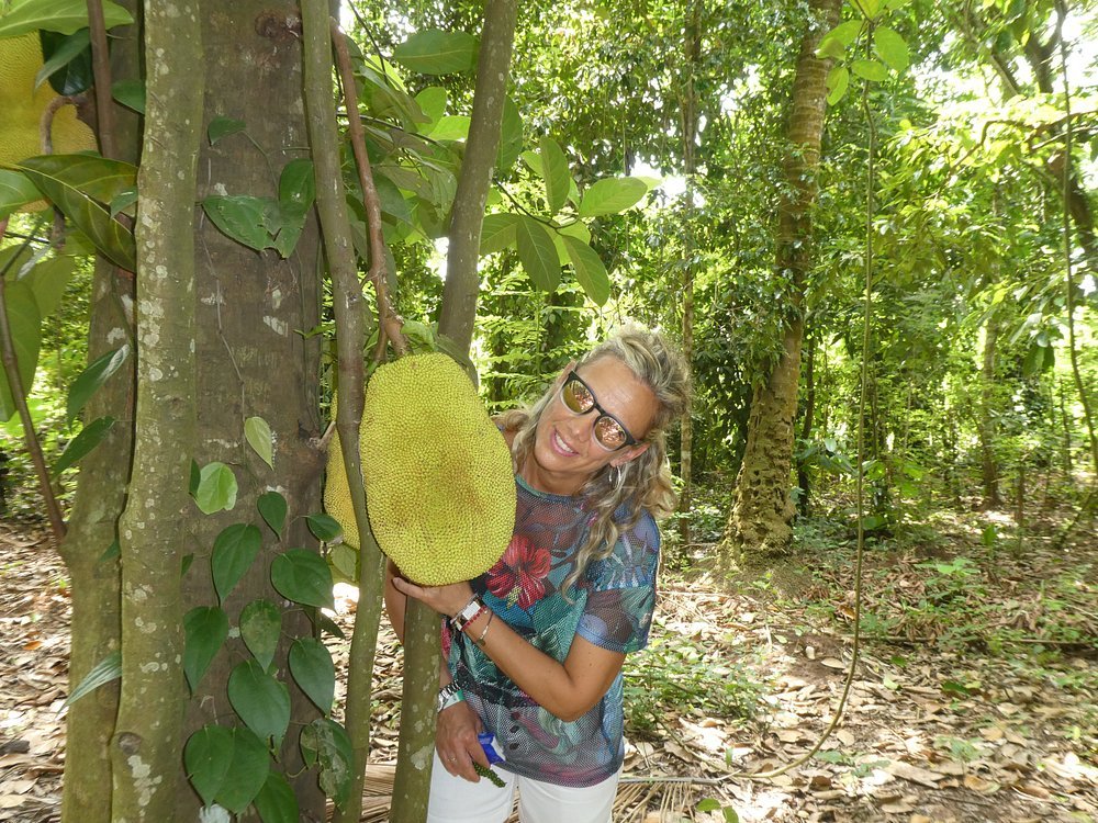 Zanzibar: Private Tour to Jozani Forest and Spice Farm