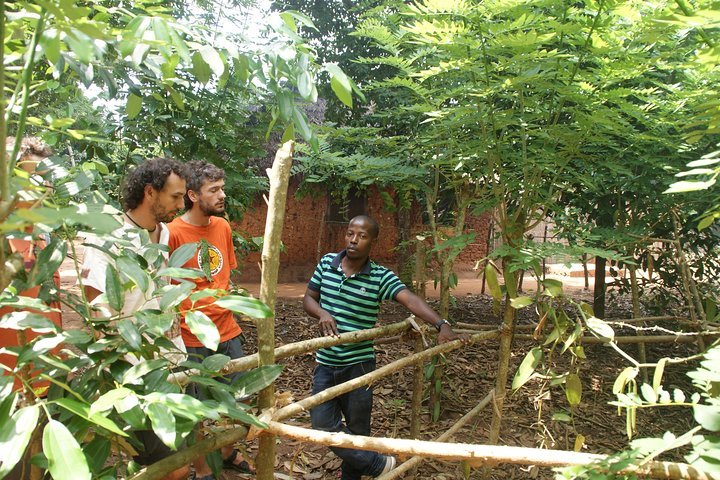 Zanzibar: Private Tour to Jozani Forest and Spice Farm