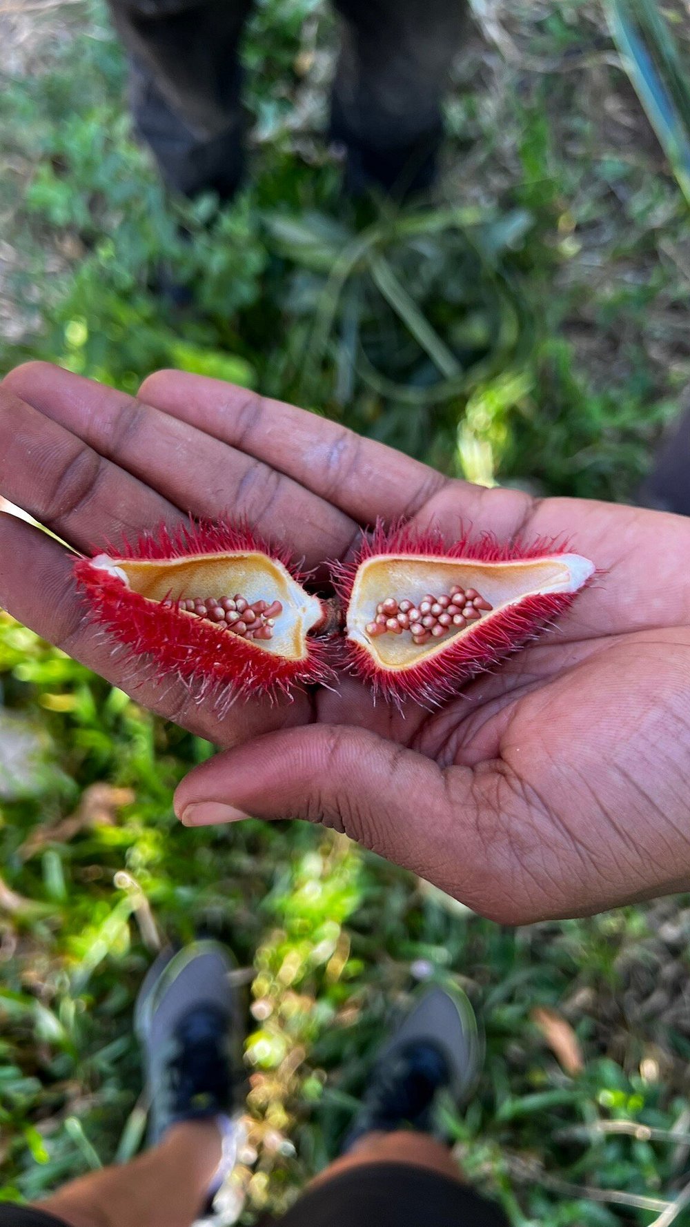 Zanzibar: Private Tour to Jozani Forest and Spice Farm