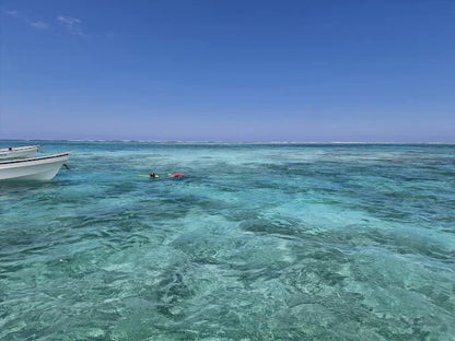 Zanzibar: Private Tour to Jozani Forest, Blue Lagoon, Kuza Cave and The Rock Restaurant