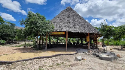Zanzibar: Private Tour to Jozani Forest, Blue Lagoon, Kuza Cave and The Rock Restaurant