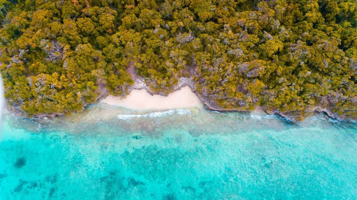 Zanzibar: Pungume Sandbank Sailboat Tour with Snorkeling and BBQ Lunch