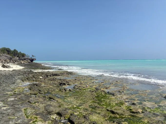 Zanzibar: Quad Adventure from Nungwi or Kendwa with Village Visit and Beach Stops