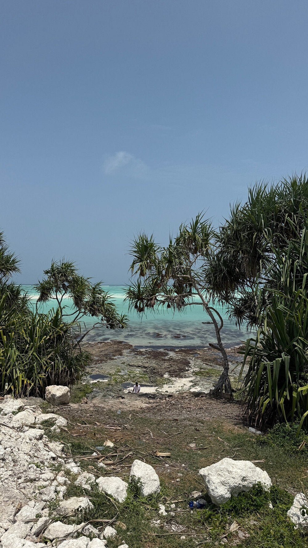 Zanzibar: Quad Biking Tour and Adventure at Villages, Beaches, and Baobabs
