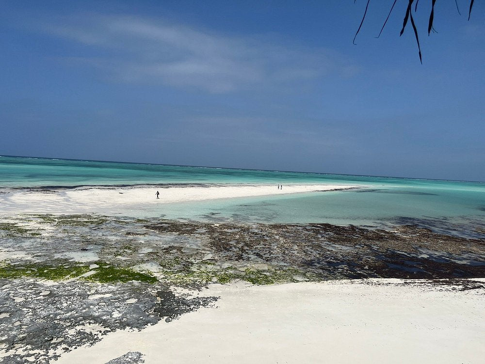 Zanzibar: Quad Biking Tour and Adventure at Villages, Beaches, and Baobabs