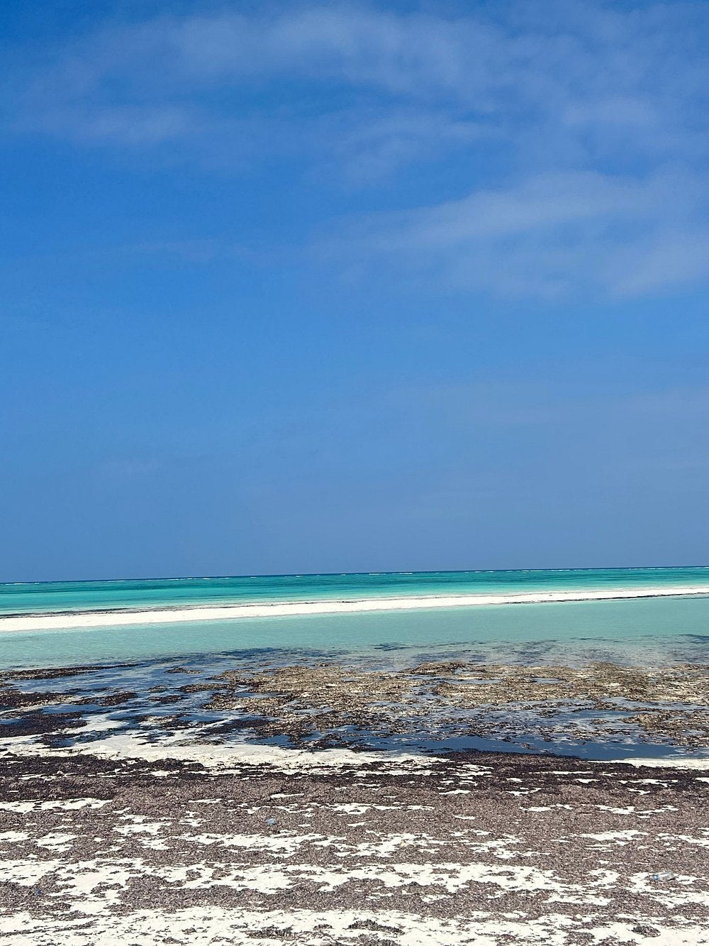 Zanzibar: Quad Biking Tour and Adventure at Villages, Beaches, and Baobabs