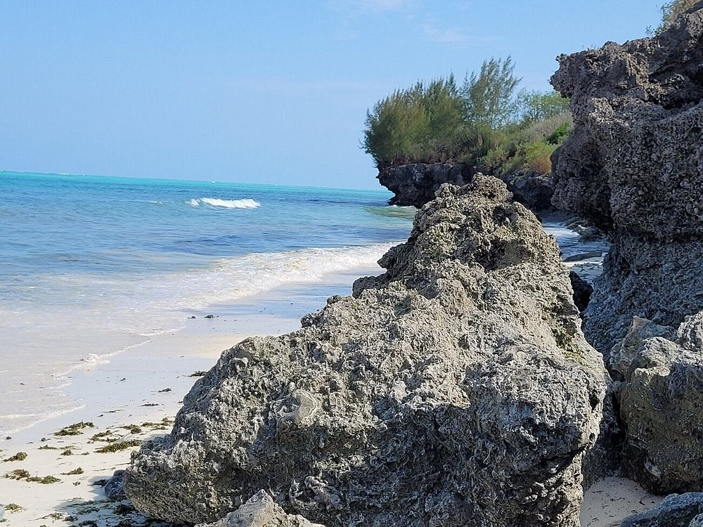Zanzibar: Quad Biking Tour and Adventure at Villages, Beaches, and Baobabs