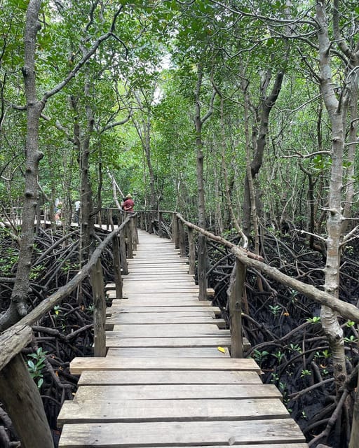 Zanzibar: Red Colobus Monkeys in Jozani Forest Guided Tour