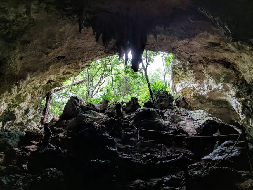 Zanzibar: Rock Restaurant Visit, Kuza Cave Swim and Cooking Class