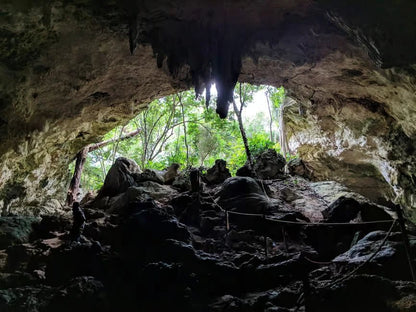 Zanzibar: Rock Restaurant Visit, Kuza Cave Swim and Cooking Class