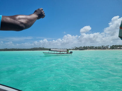 Zanzibar: Safari Blue and Kwale Island Snorkeling Day Trip with Seafood Lunch