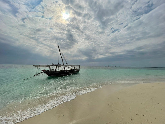 Zanzibar: Safari Blue and Kwale Island Snorkeling Day Trip with Seafood Lunch