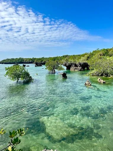 Zanzibar: Safari Blue Full - Day Snorkeling Tour with Seafood Lunch