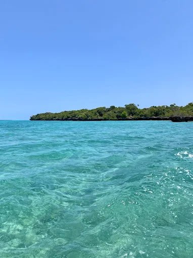 Zanzibar: Safari Blue Full - Day Snorkeling Tour with Seafood Lunch