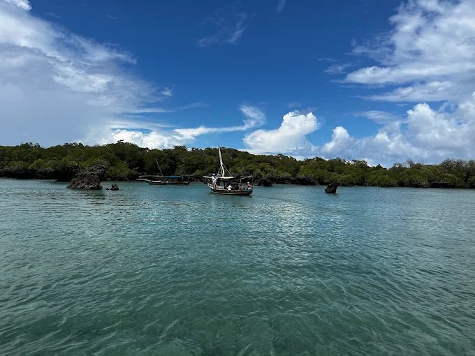 Zanzibar: Safari Blue Full - Day Snorkeling Tour with Seafood Lunch