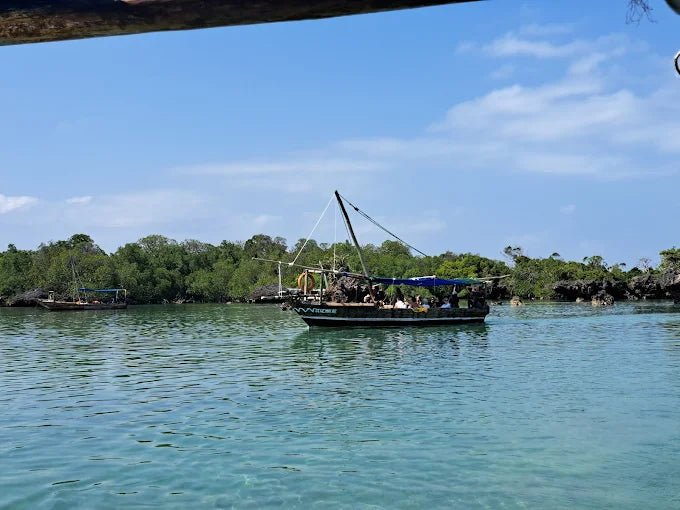 Zanzibar: Safari Blue Full - Day Snorkeling Tour with Seafood Lunch