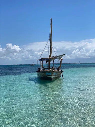 Zanzibar: Safari Blue Full - Day Snorkeling Tour with Seafood Lunch