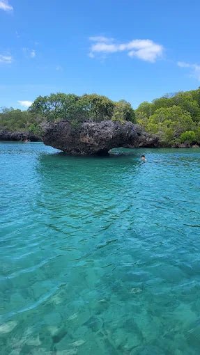 Zanzibar: Safari Blue Full - Day Snorkeling Tour with Seafood Lunch