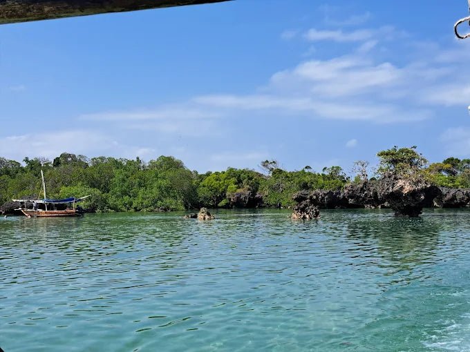 Zanzibar: Safari Blue Full - Day Snorkeling Tour with Seafood Lunch