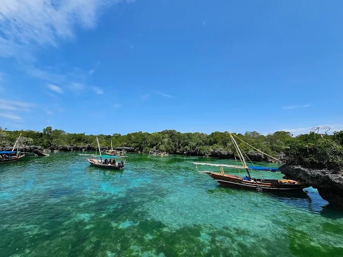 Zanzibar: Safari Blue Full - Day Snorkeling Tour with Seafood Lunch