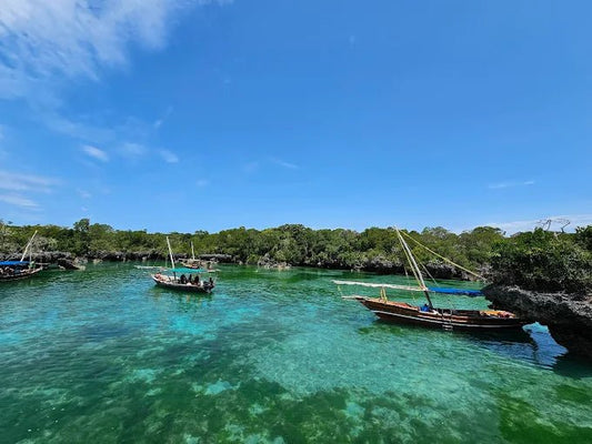 Zanzibar: Safari Blue Full - Day Snorkeling Tour with Seafood Lunch