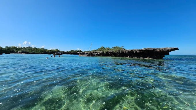 Zanzibar: Safari Blue Full - Day Snorkeling Tour with Seafood Lunch