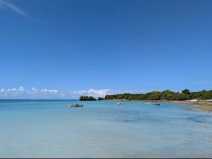 Zanzibar: Safari Blue Full - Day Snorkeling Tour with Seafood Lunch