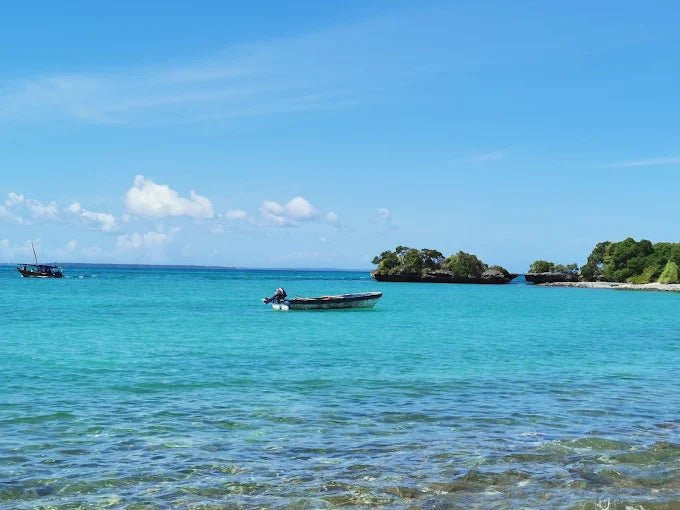 Zanzibar: Safari Blue Full - Day Snorkeling Tour with Seafood Lunch