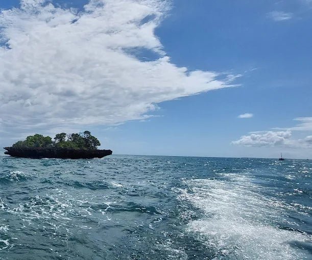 Zanzibar: Safari Blue Full - Day Snorkeling Tour with Seafood Lunch