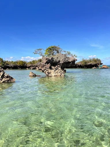 Zanzibar: Safari Blue Full - Day Snorkeling Tour with Seafood Lunch