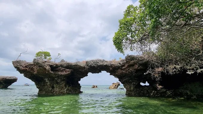 Zanzibar: Safari Blue Full - Day Snorkeling Tour with Seafood Lunch