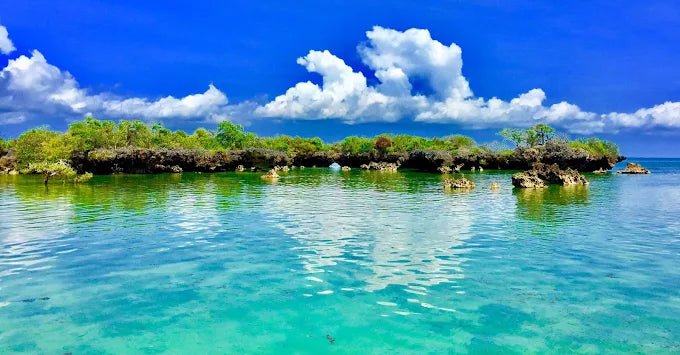 Zanzibar: Safari Blue Full - Day Snorkeling Tour with Seafood Lunch