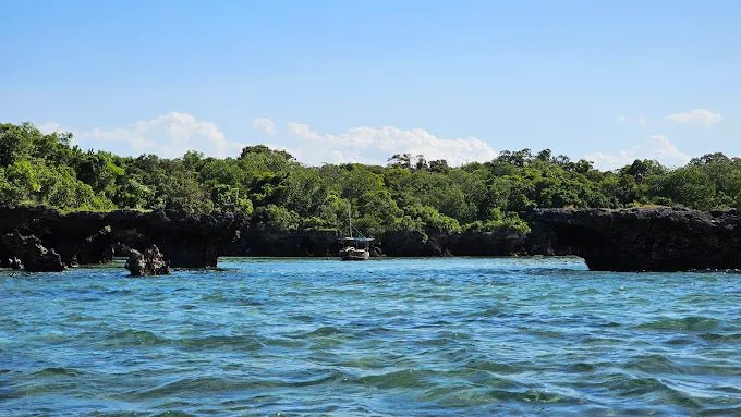 Zanzibar: Safari Blue Full - Day Snorkeling Tour with Seafood Lunch
