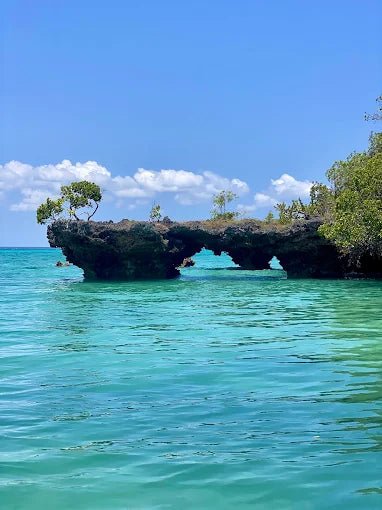 Zanzibar: Safari Blue Full - Day Snorkeling Tour with Seafood Lunch