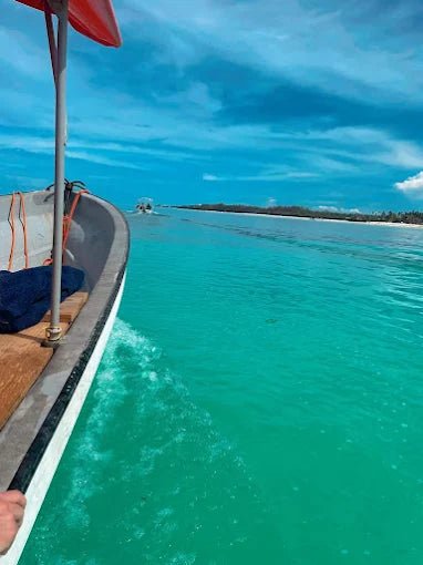 Zanzibar: Snorkel with Starfish, Blue Lagoon and The Rock Restaurant Tour