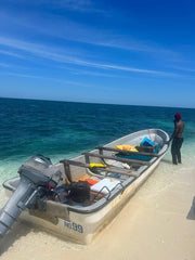 Zanzibar: Snorkel with Starfish, Blue Lagoon and The Rock Restaurant Tour