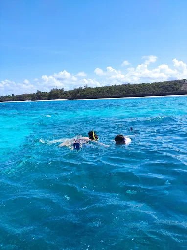 Zanzibar: Snorkel with Starfish, Blue Lagoon and The Rock Restaurant Tour