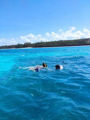 Zanzibar: Snorkel with Starfish, Blue Lagoon and The Rock Restaurant Tour