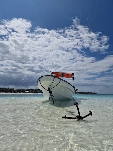 Zanzibar: Snorkel with Starfish, Blue Lagoon and The Rock Restaurant Tour