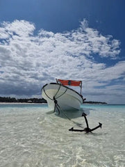 Zanzibar: Snorkel with Starfish, Blue Lagoon and The Rock Restaurant Tour