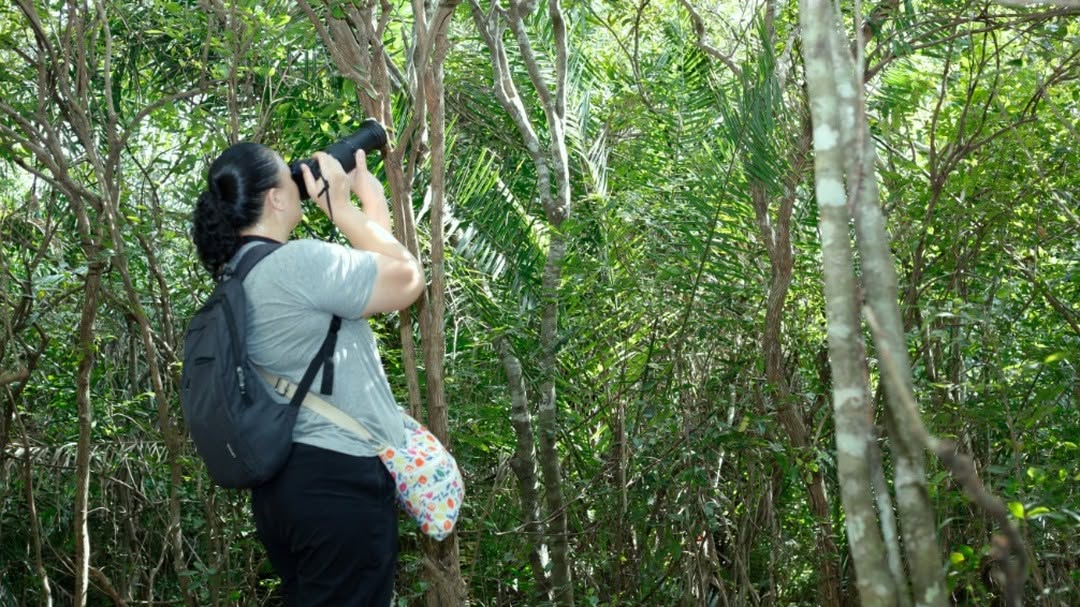 Zanzibar: Spice Farm Tour with Lunch and Jozani Forest Red Colobus Monkeys