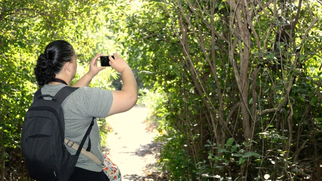 Zanzibar: Spice Farm Tour with Lunch and Jozani Forest Red Colobus Monkeys