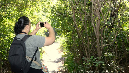 Zanzibar: Spice Farm Tour with Lunch and Jozani Forest Red Colobus Monkeys