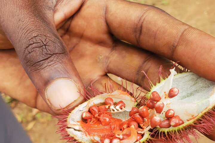 Zanzibar: Spice Farm Tour with Tastings from Stone Town