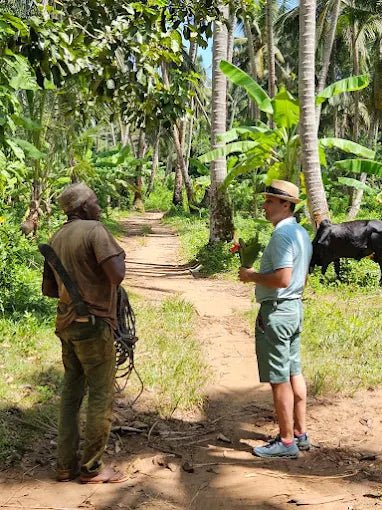 Zanzibar: Spice Farm Tour with Tropical Fruit Tasting